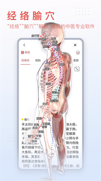 3Dbody解剖app截圖3