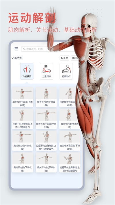 3Dbody解剖app截圖5