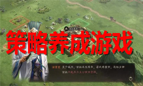 策略養(yǎng)成