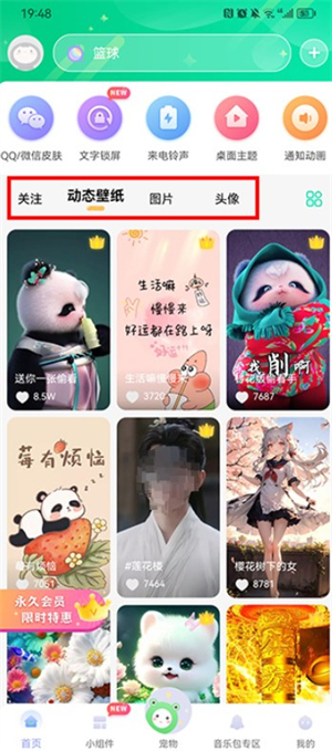 動態(tài)壁紙