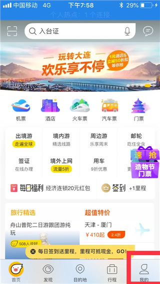 飛豬