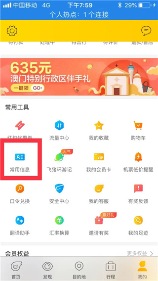 飛豬