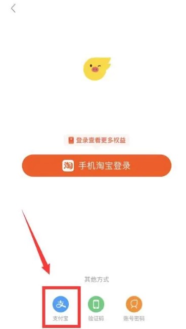 飛豬