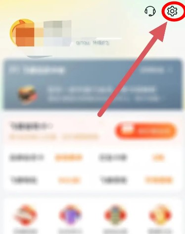飛豬