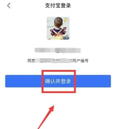 飛豬