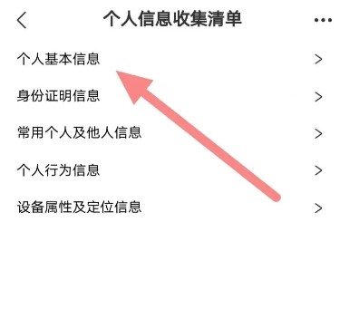 飛豬