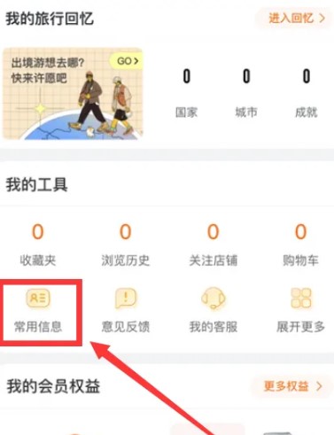 飛豬