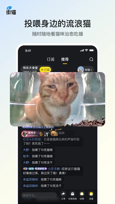 哈啰街貓截圖2