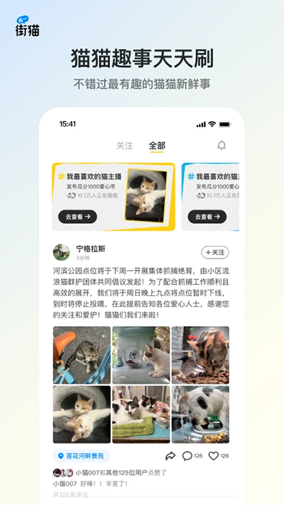 哈啰街貓截圖3