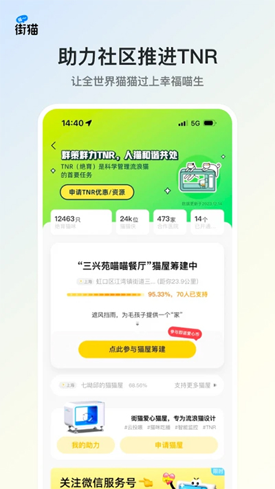 哈啰街貓截圖4