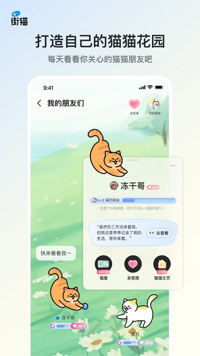 哈啰街貓截圖5