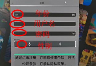 roblox國際服中文版