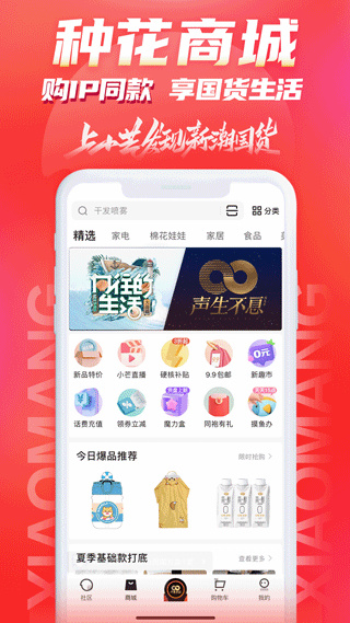 小芒app手机版下载截图4: