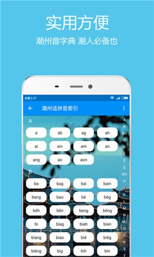 潮州音字典手機版截圖2