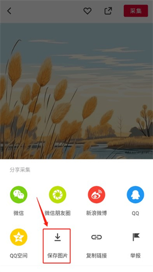 花瓣手機(jī)