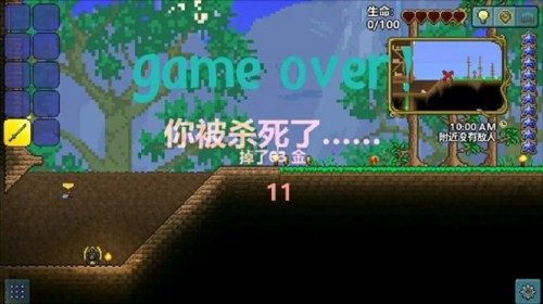 泰拉瑞亞刷物品方法6