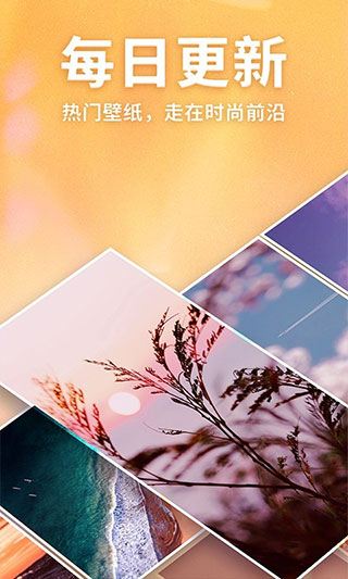 靈貓壁紙app截圖3