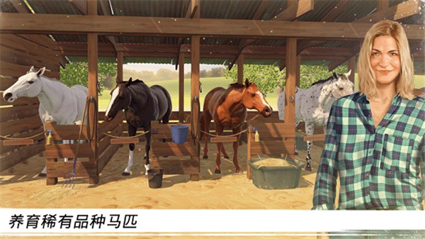 家族傳奇馬匹養(yǎng)成競技截圖2