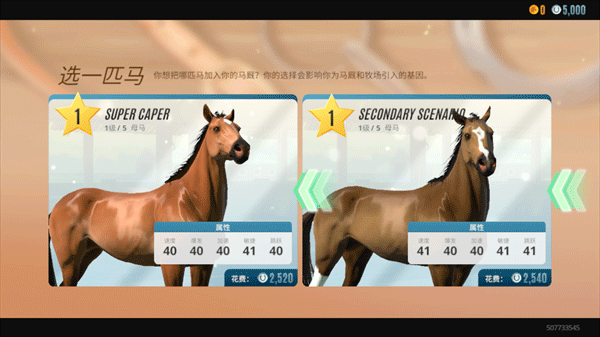 家族傳奇馬匹養(yǎng)成競技
