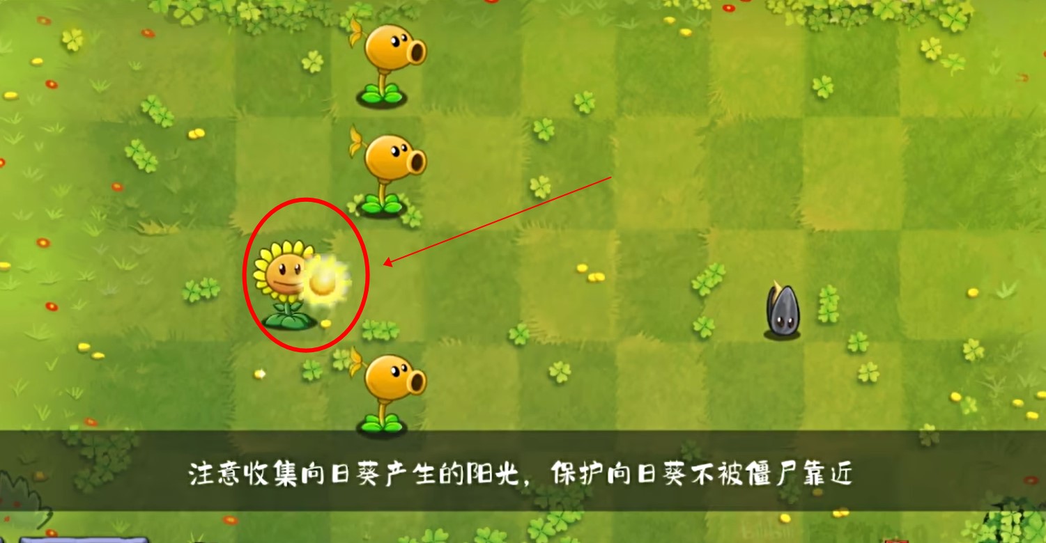 植物大戰(zhàn)僵尸轉(zhuǎn)基因版