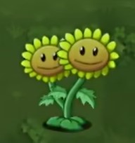 植物大戰(zhàn)僵尸轉(zhuǎn)基因版