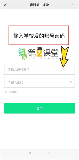 青驕第二課堂