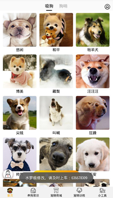狗語翻譯器app