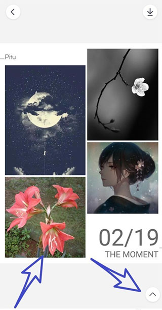 天天P圖