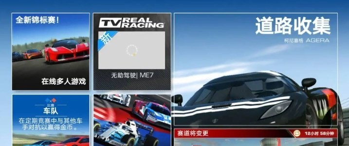 真實(shí)賽車3手游