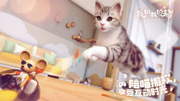 我和我的貓手游截圖1
