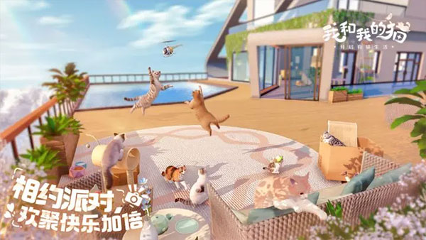 我和我的貓手游截圖3