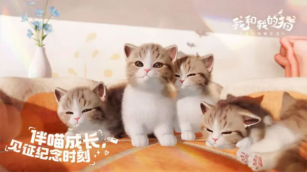 我和我的貓手游截圖5