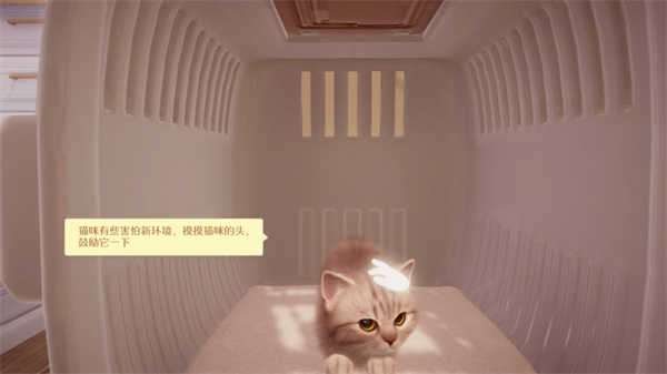 我和我的貓手游