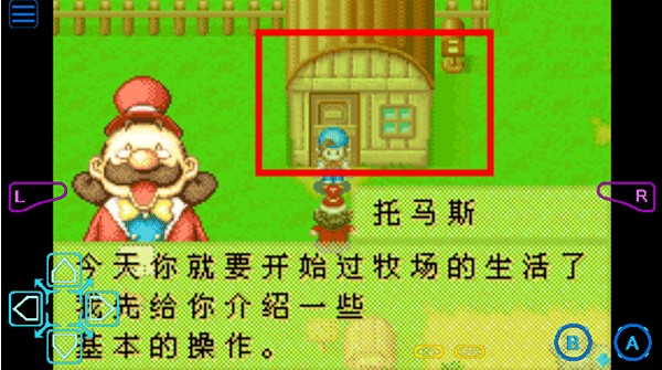 牧場物語礦石鎮(zhèn)的伙伴們手機版