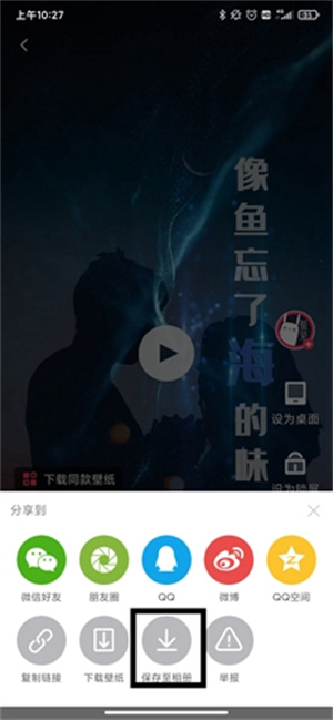 羞兔動態(tài)壁紙手機(jī)版