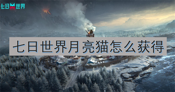 七日世界月亮貓怎么獲得