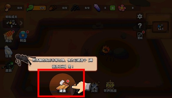 螞蟻進(jìn)化
