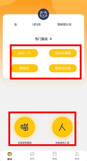 貓語翻譯器