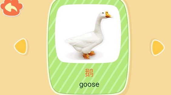 親親熊識(shí)字