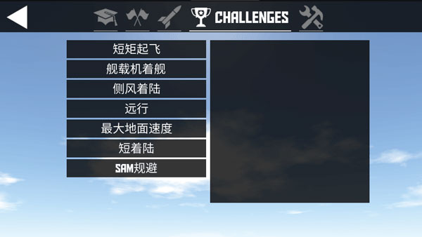 簡單飛行