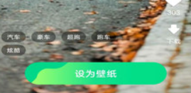 壁紙圖一樂