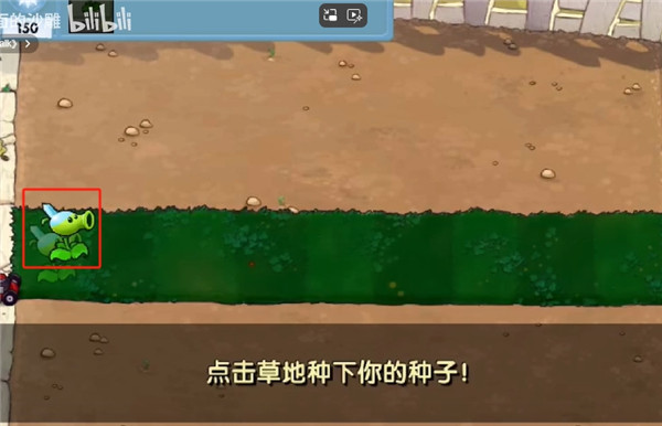 植物大戰(zhàn)僵尸寒冰版