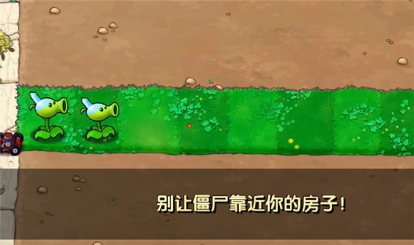 植物大戰(zhàn)僵尸寒冰版