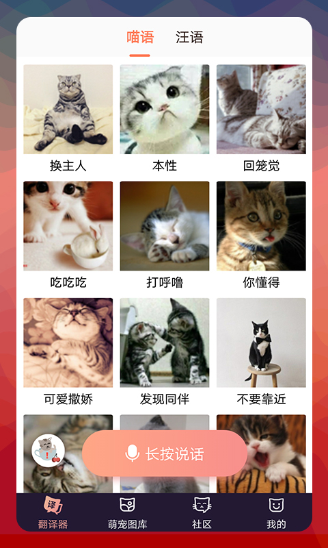 猫语翻译器中文版截图1: