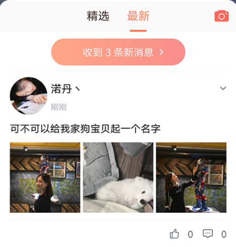 貓語翻譯器中文版