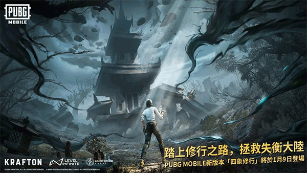 絕地求生pubgmobile國際服截圖2