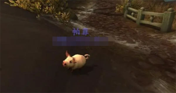 魔獸世界寵物帕菲如何獲取