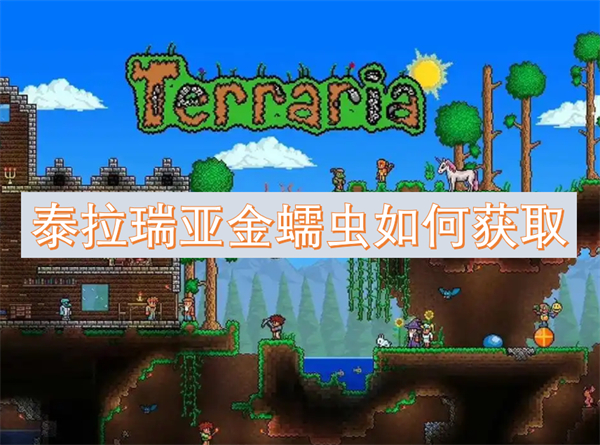 泰拉瑞亞金蠕蟲如何獲取