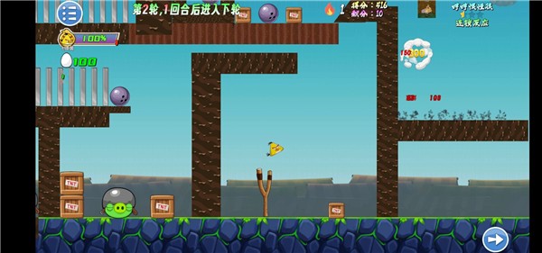 我的鳥生存