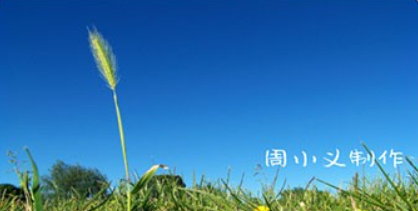 周小義靈敏度